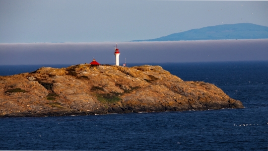 Tiled Image