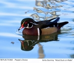 Tiled Image