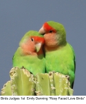Tiled Image